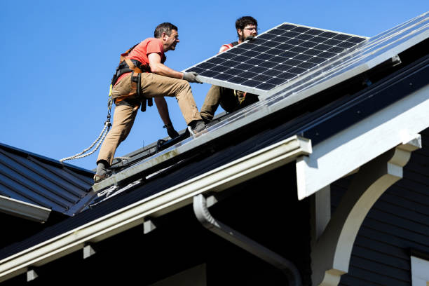 Best Roof Moss and Algae Removal  in Temple, GA